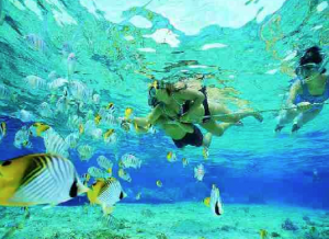 Trunk Bay snorkelers